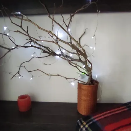 двокімнатна в старому львові *