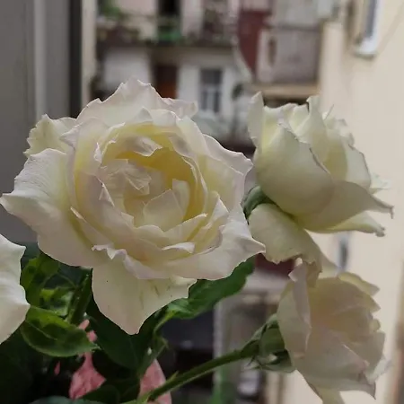 Διαμέρισμα двокімнатна в старому львові *