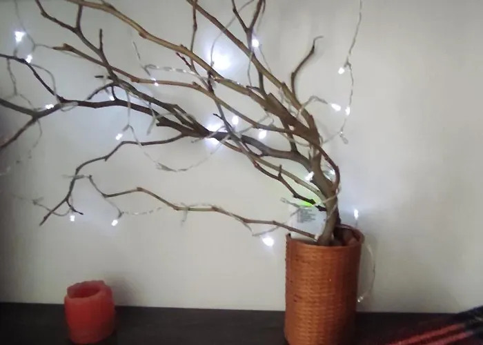 двокімнатна в старому львові *